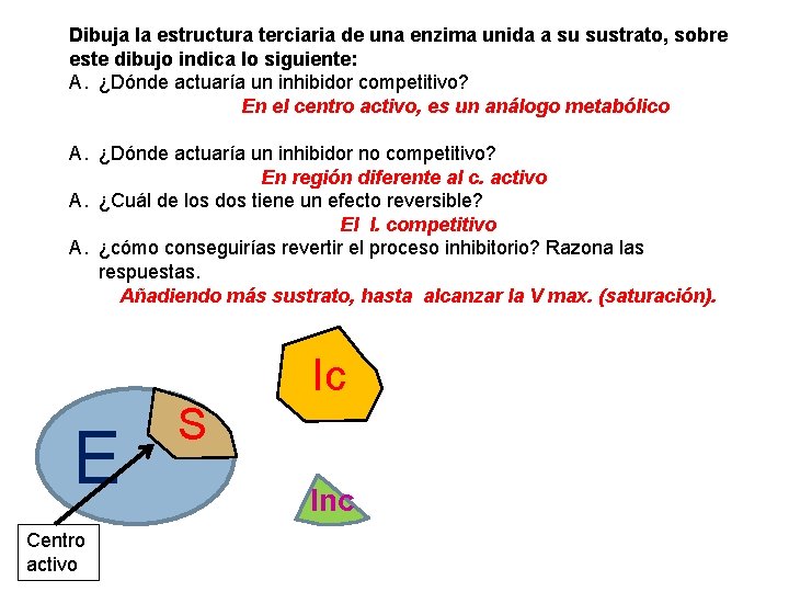 Dibuja la estructura terciaria de una enzima unida a su sustrato, sobre este dibujo