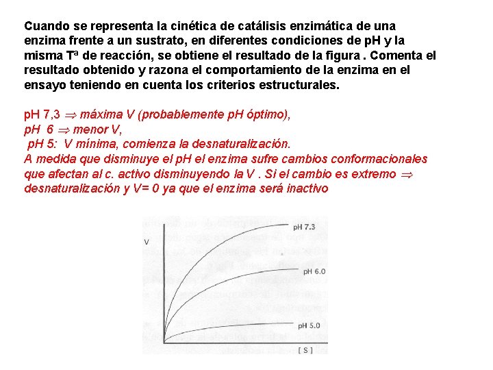 Cuando se representa la cinética de catálisis enzimática de una enzima frente a un