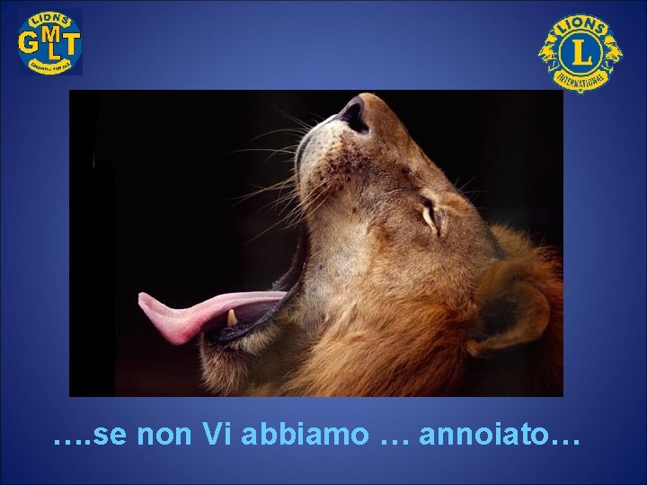 …. se non Vi abbiamo … annoiato… 