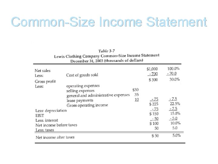 Common-Size Income Statement 