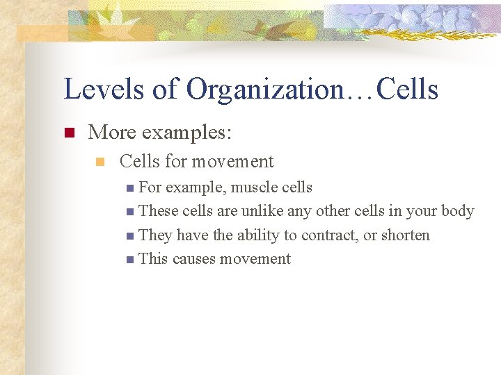 Levels of Organization…Cells n More examples: n Cells for movement n For example, muscle