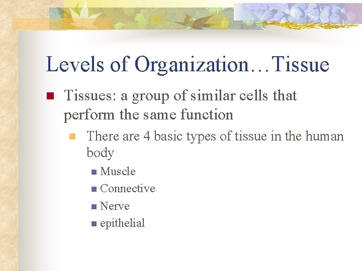 Levels of Organization…Tissue n Tissues: a group of similar cells that perform the same