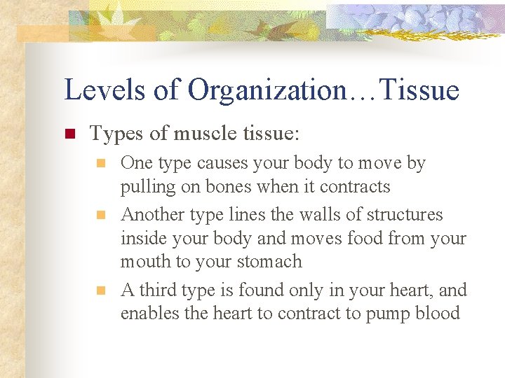 Levels of Organization…Tissue n Types of muscle tissue: n n n One type causes