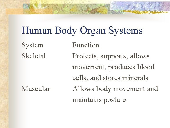 Human Body Organ Systems System Skeletal Muscular Function Protects, supports, allows movement, produces blood
