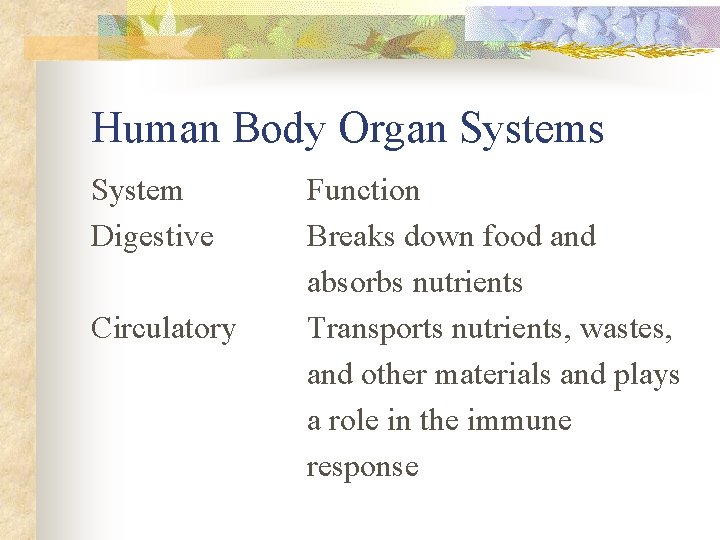 Human Body Organ Systems System Digestive Circulatory Function Breaks down food and absorbs nutrients