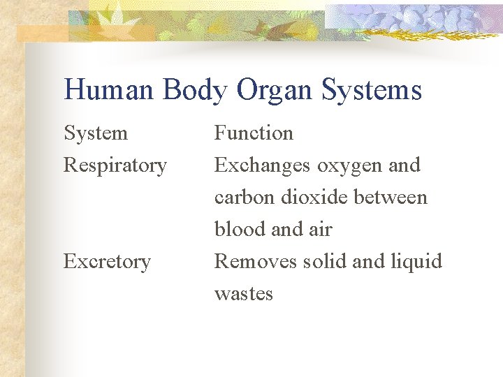Human Body Organ Systems System Respiratory Excretory Function Exchanges oxygen and carbon dioxide between