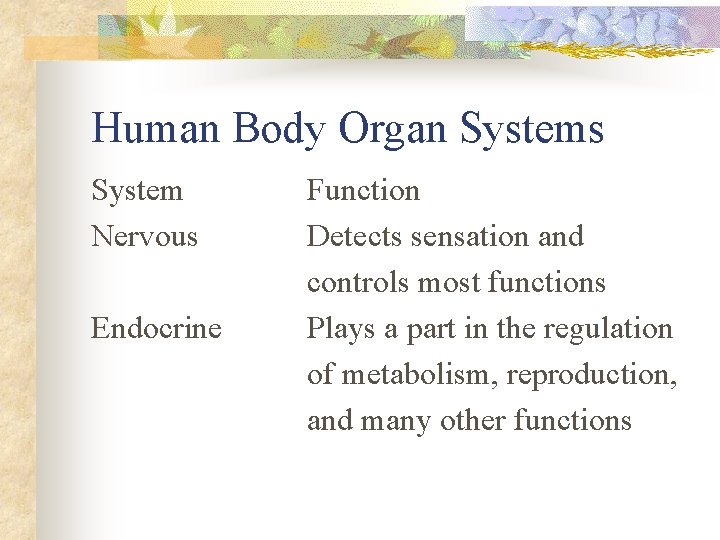 Human Body Organ Systems System Nervous Endocrine Function Detects sensation and controls most functions