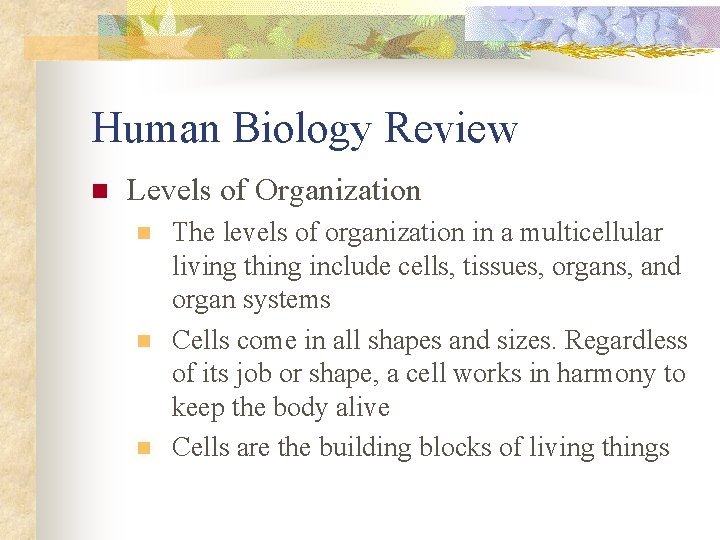 Human Biology Review n Levels of Organization n The levels of organization in a