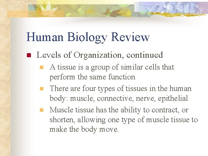 Human Biology Review n Levels of Organization, continued n n n A tissue is