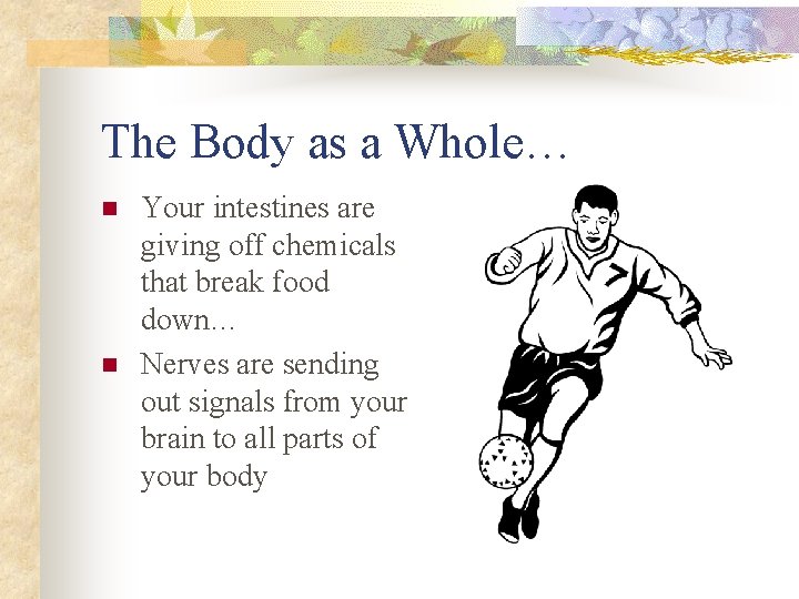 The Body as a Whole… n n Your intestines are giving off chemicals that