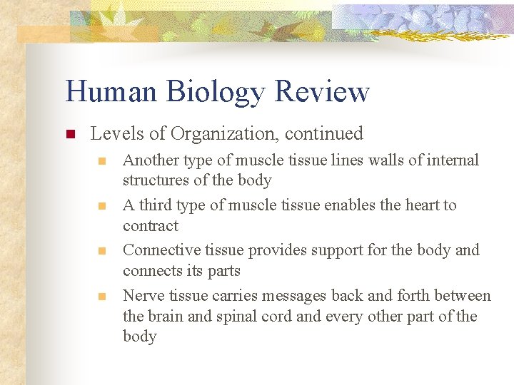 Human Biology Review n Levels of Organization, continued n n Another type of muscle
