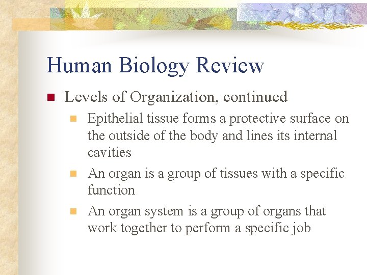 Human Biology Review n Levels of Organization, continued n n n Epithelial tissue forms