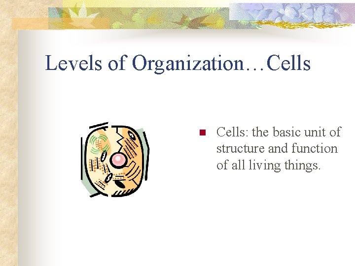 Levels of Organization…Cells n Cells: the basic unit of structure and function of all