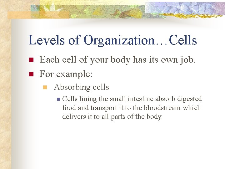 Levels of Organization…Cells n n Each cell of your body has its own job.