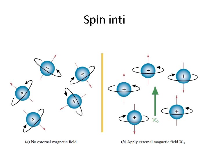 Spin inti 