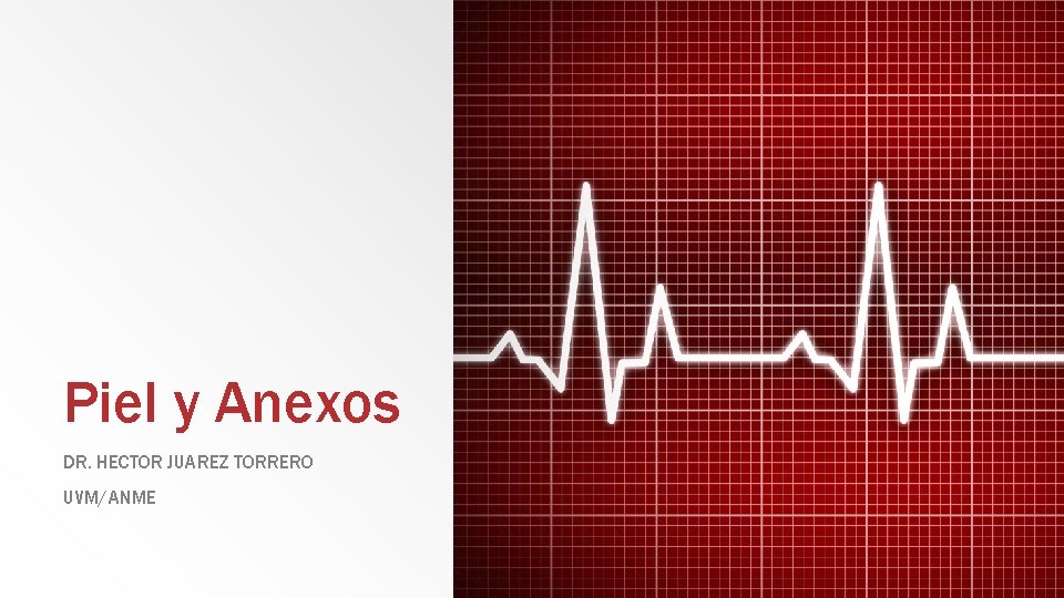 Piel y Anexos DR. HECTOR JUAREZ TORRERO UVM/ANME 