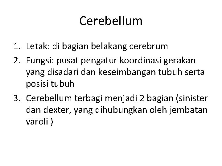 Cerebellum 1. Letak: di bagian belakang cerebrum 2. Fungsi: pusat pengatur koordinasi gerakan yang