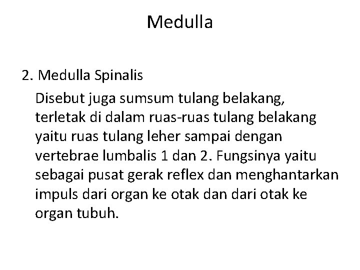 Medulla 2. Medulla Spinalis Disebut juga sumsum tulang belakang, terletak di dalam ruas-ruas tulang