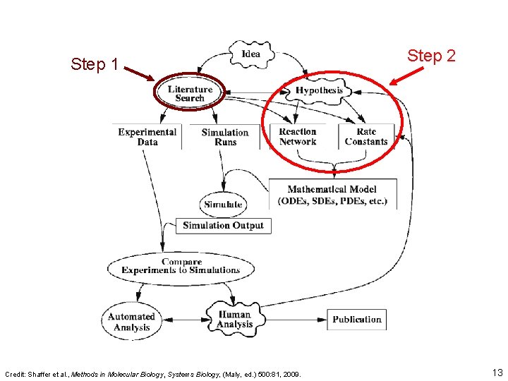 Step 1 Credit: Shaffer et al. , Methods in Molecular Biology, Systems Biology, (Maly,
