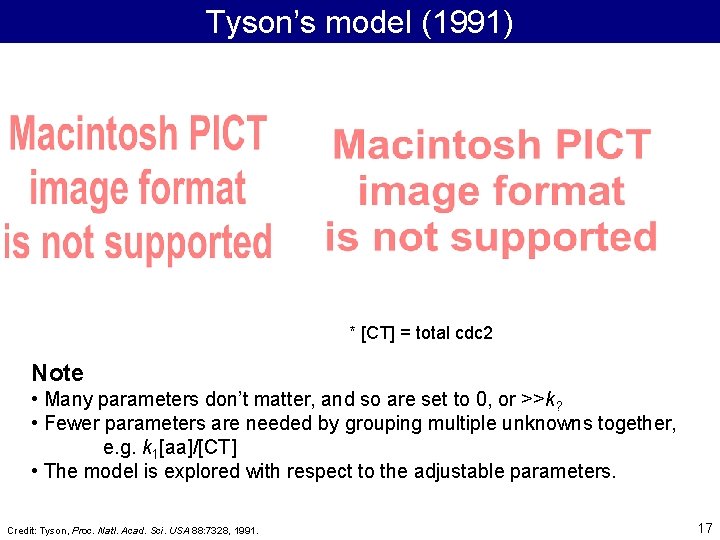Tyson’s model (1991) * [CT] = total cdc 2 Note • Many parameters don’t