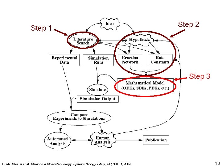 Step 1 Step 2 Step 3 Credit: Shaffer et al. , Methods in Molecular