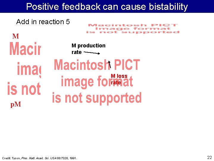 Positive feedback can cause bistability Add in reaction 5 M M production rate M