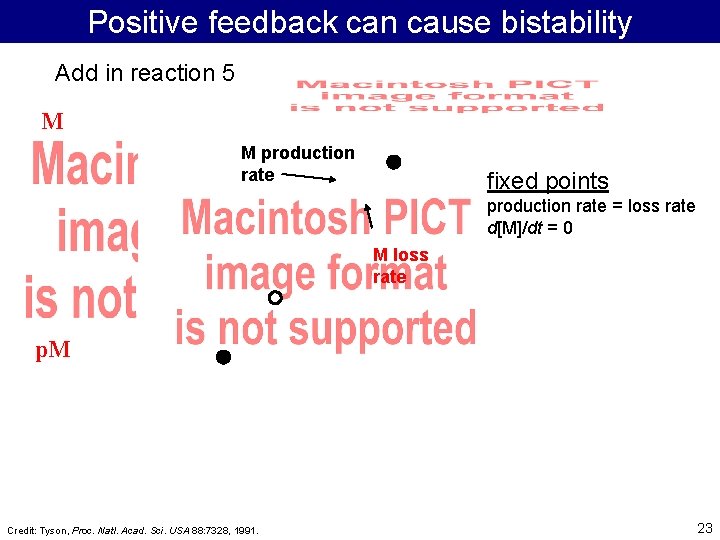 Positive feedback can cause bistability Add in reaction 5 M M production rate fixed