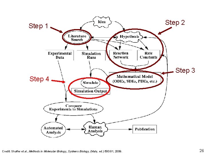 Step 1 Step 2 Step 3 Step 4 Credit: Shaffer et al. , Methods