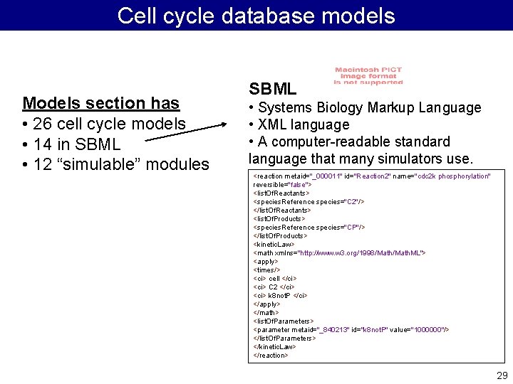Cell cycle database models Models section has • 26 cell cycle models • 14