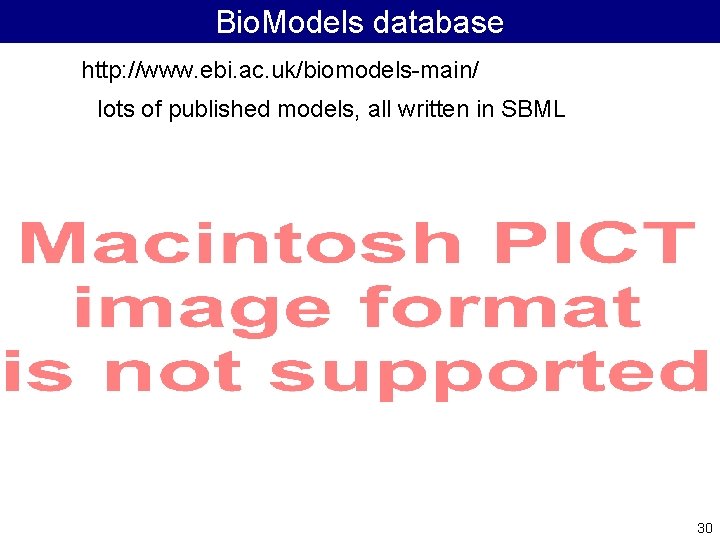 Bio. Models database http: //www. ebi. ac. uk/biomodels-main/ lots of published models, all written
