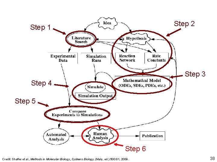 Step 2 Step 1 Step 3 Step 4 Step 5 Step 6 Credit: Shaffer