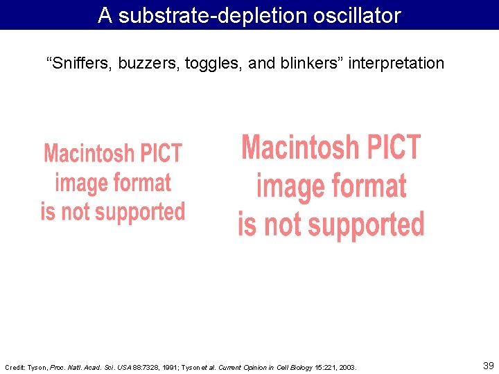 A substrate-depletion oscillator “Sniffers, buzzers, toggles, and blinkers” interpretation Credit: Tyson, Proc. Natl. Acad.