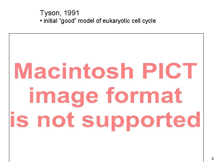 Tyson, 1991 • initial “good” model of eukaryotic cell cycle 4 