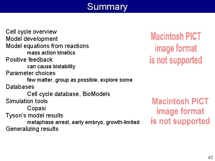 Summary Cell cycle overview Model development Model equations from reactions mass action kinetics Positive