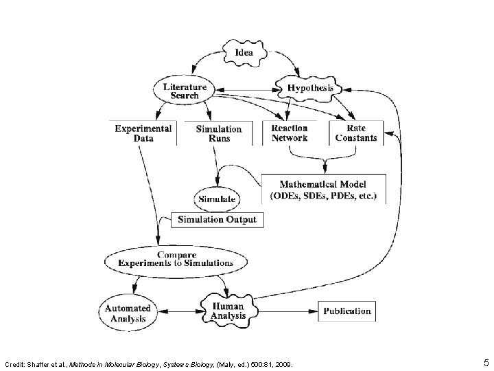 Credit: Shaffer et al. , Methods in Molecular Biology, Systems Biology, (Maly, ed. )