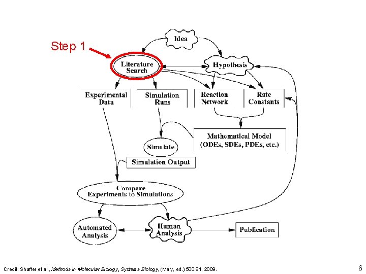 Step 1 Credit: Shaffer et al. , Methods in Molecular Biology, Systems Biology, (Maly,