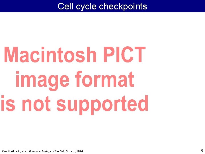 Cell cycle checkpoints Credit: Alberts, et al. Molecular Biology of the Cell, 3 rd