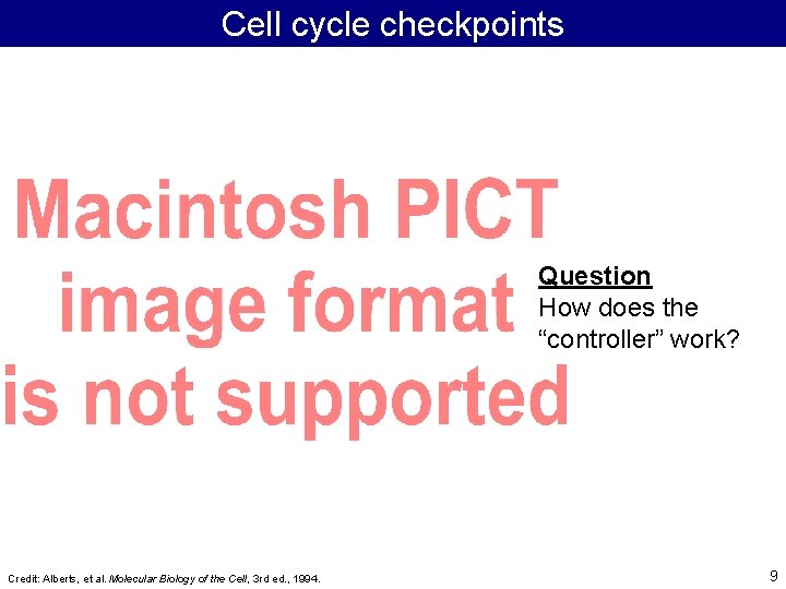 Cell cycle checkpoints Question How does the “controller” work? Credit: Alberts, et al. Molecular