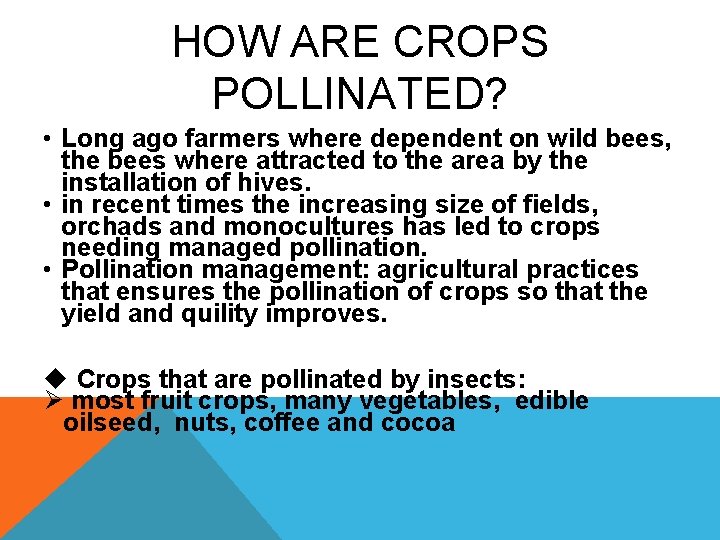 HOW ARE CROPS POLLINATED? • Long ago farmers where dependent on wild bees, the