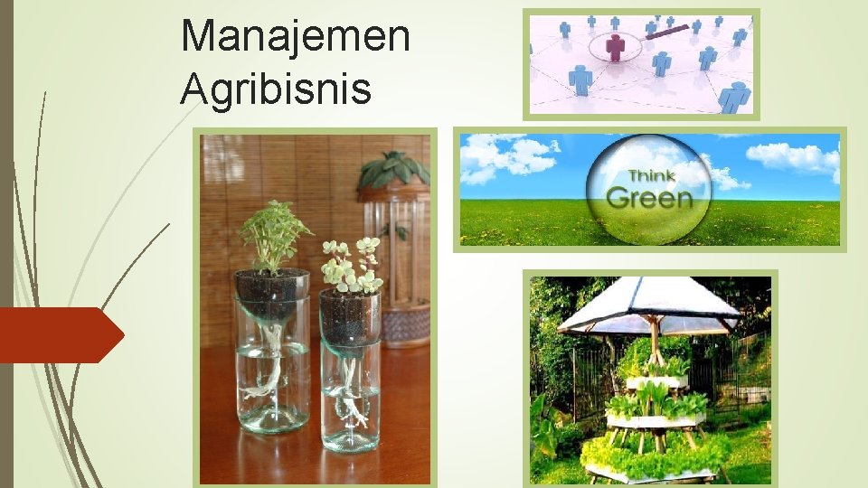 Manajemen Agribisnis 