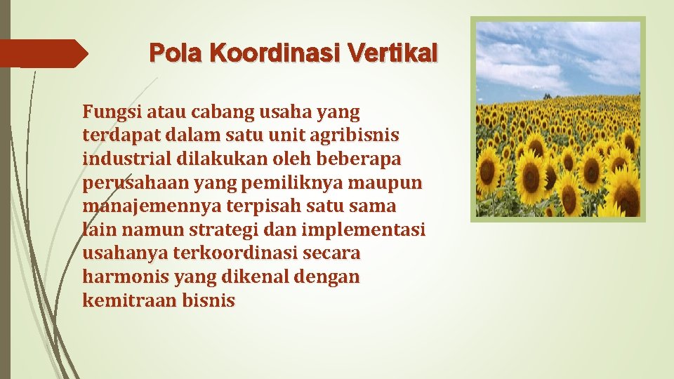 Pola Koordinasi Vertikal Fungsi atau cabang usaha yang terdapat dalam satu unit agribisnis industrial