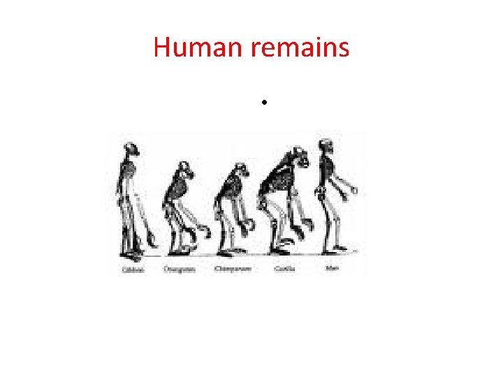 Todays Objectives SWBAT 1 Use a timeline to