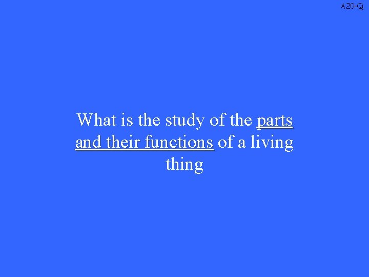 A 20 -Q What is the study of the parts and their functions of