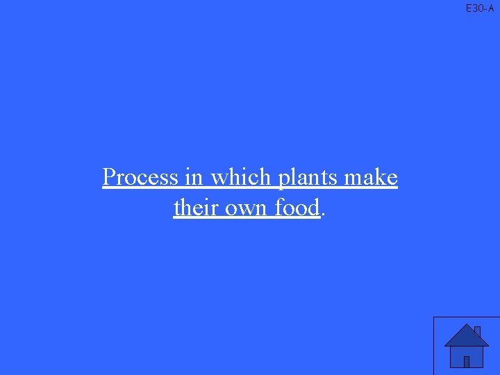 E 30 -A Process in which plants make their own food. 