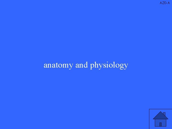 A 20 -A anatomy and physiology 