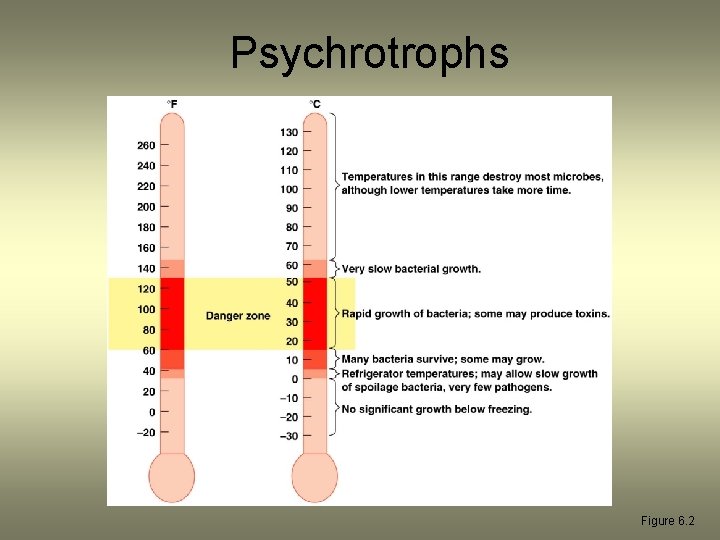 Psychrotrophs Figure 6. 2 