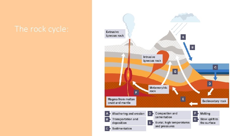 The rock cycle: The rock cycle: