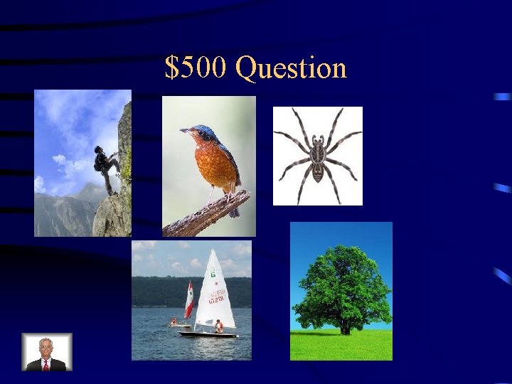 $500 Question 