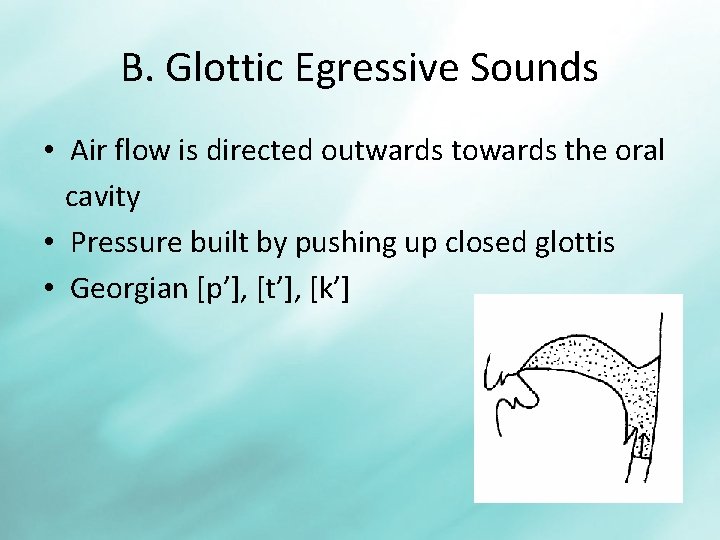 B. Glottic Egressive Sounds • Air flow is directed outwards towards the oral cavity