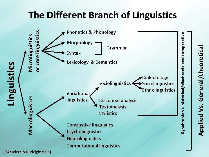 Syntax Grammar Lexicology & Semantics (Skandera & Burleigh: 2005) Variational linguistics Discourse analysis Text